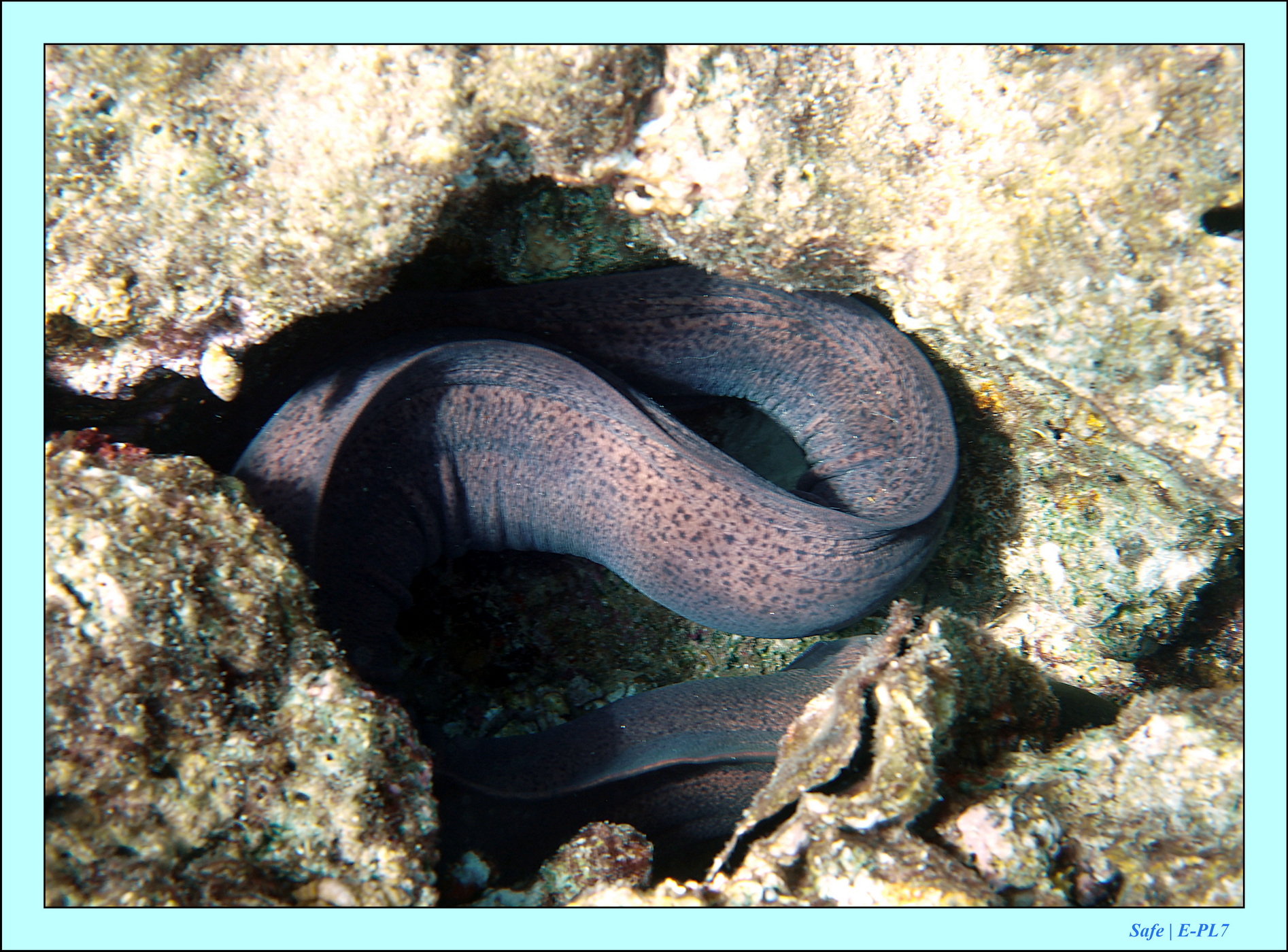 2023 - 07 - Sandies Bathala - 194